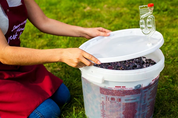 Hvordan laver man vin trin for trin?