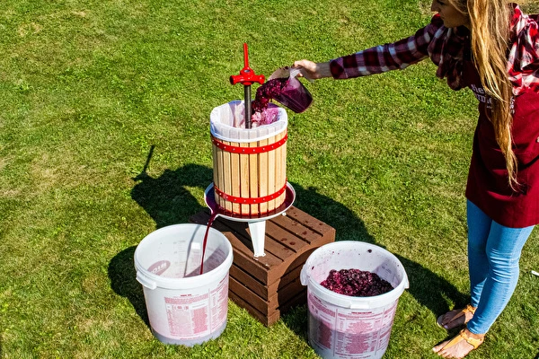 Hvordan laver man vin trin for trin?