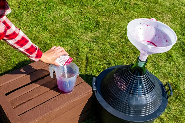 Hvordan laver man vin trin for trin?