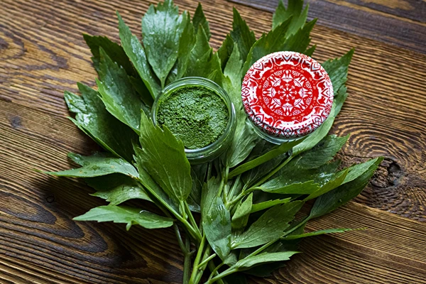 Løvstikkepasta — hjemmelavet MAGGI-krydderi