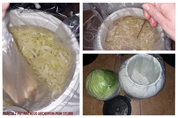 Surkål efter fru Sylwias opskrift