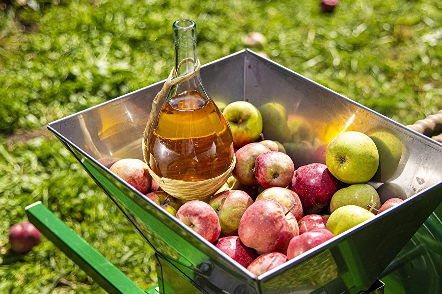 Browin Przepiśnik - Hjemmelavet cider