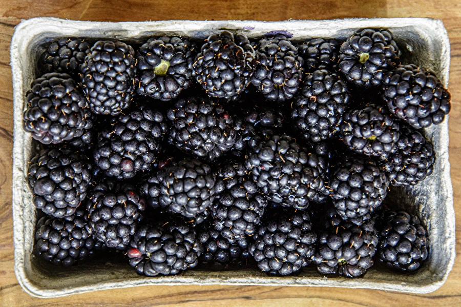 Browin Przepiśnik - Hjemmelavet halvsød brombærvin