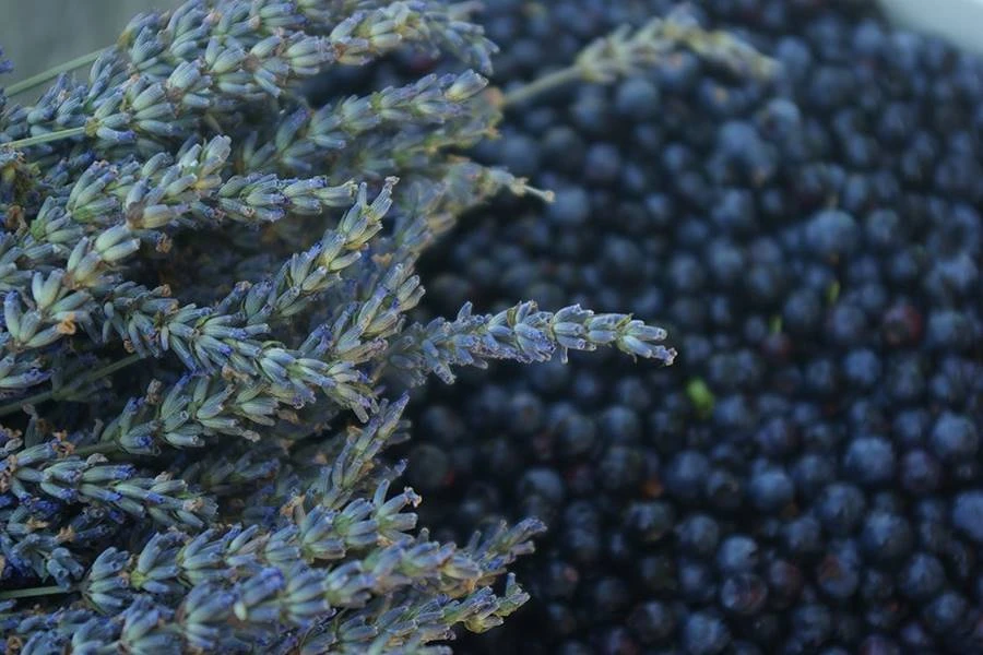 Browin Przepiśnik - Hjemmelavet lavendel- og blåbærvin