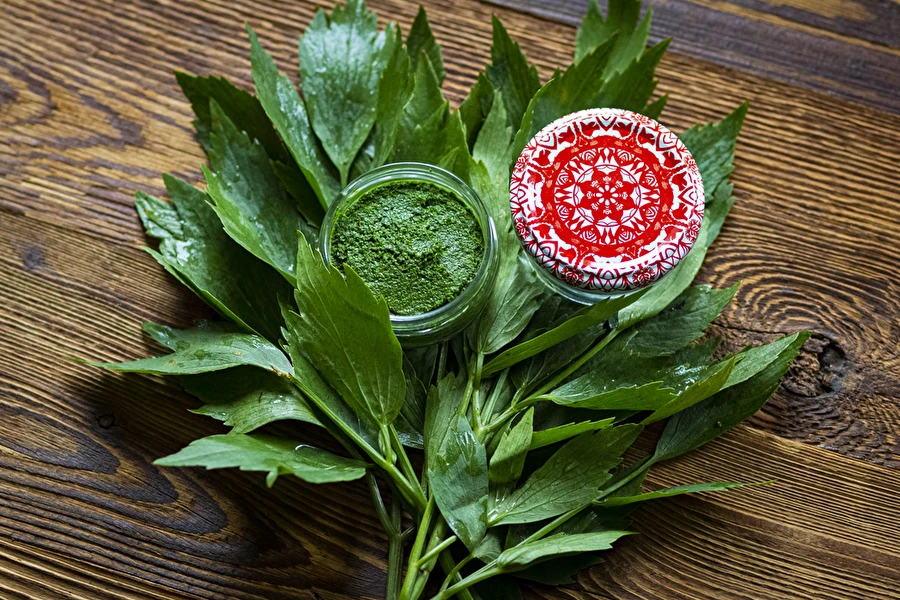 Løvstikkepasta — hjemmelavet MAGGI-krydderi