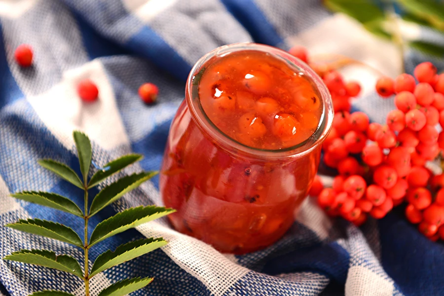 Browin Przepiśnik - Rønnebærkonfiture - ideel til kød