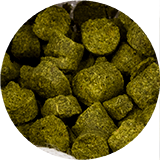 Ølbrygning